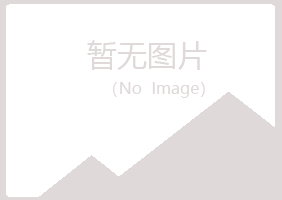 河池妙柏能源有限公司